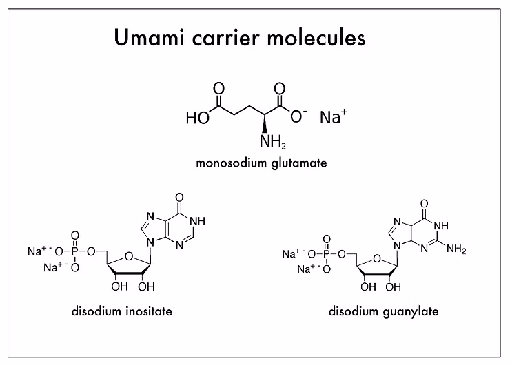 I vettori dell'umami